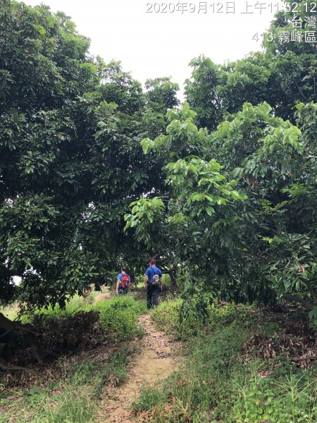 台灣小百岳No.046 阿罩霧山1102197