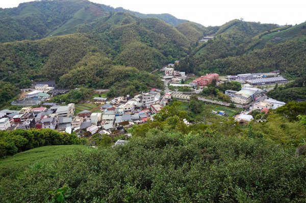 親子健行-雲嘉七連峰O型902446