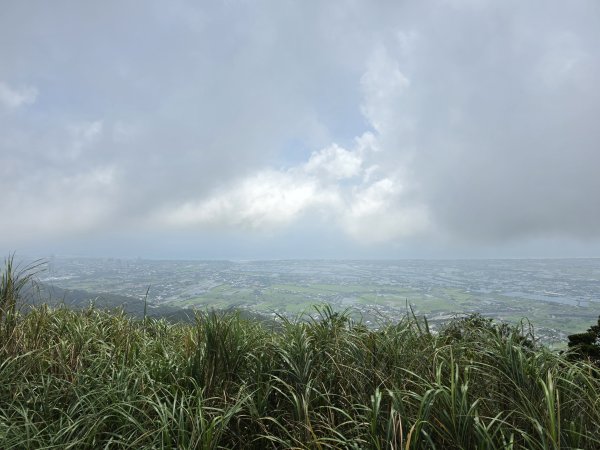小百岳No.84⛰鵲子山3113094