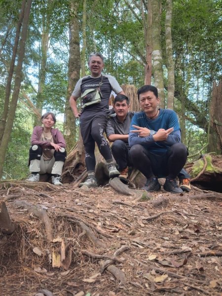 船型山林道賞雲海、烏石坑山、2432峰 山景海景一次到位2929313