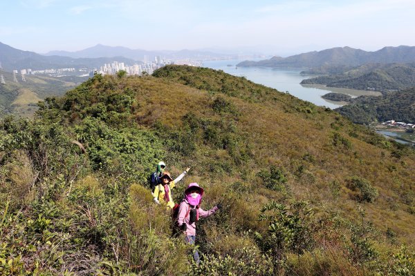 HK - 白燕岩1661215