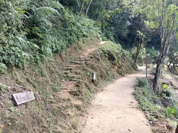 平溪區大華步道+幼坑古道+幼坑崙(大華車站-三貂嶺車站)2925259