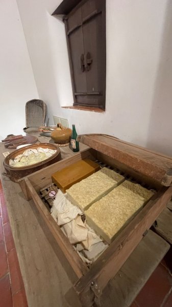 桃園大溪-花彩節🌼李騰芳古厝-月眉落雨松2934822