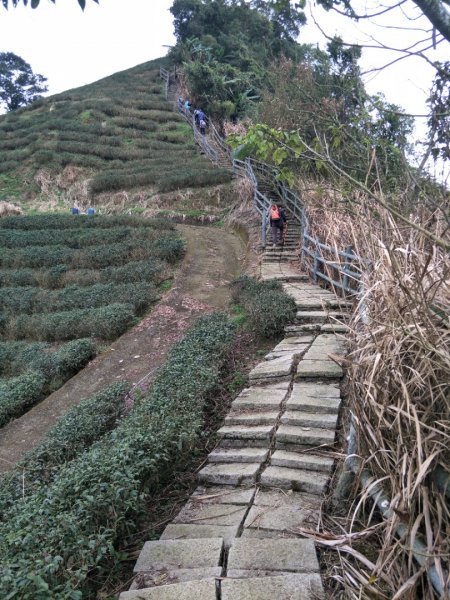 雲嘉七連峰1560712