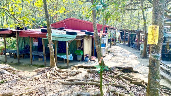 笠頂山(小百岳#76)2730826