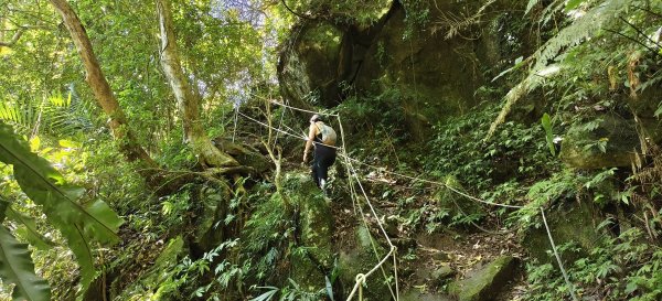馬胎古道一二期-2026/05/163056523