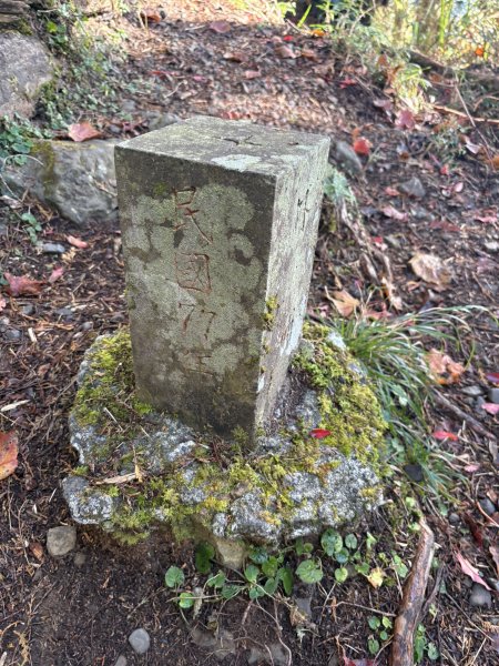 20251225塔山步道(大塔山)2970342