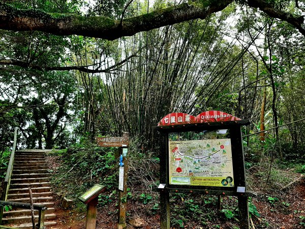 走遍陽明山：擎天崗系｜竹林小徑，遇見清幽潺潺溪流2096485