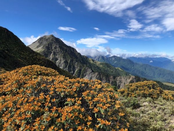 20180706～08南湖三日+巴巴山371173