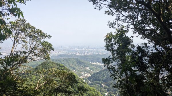 觀音山 硬漢嶺步道2116869