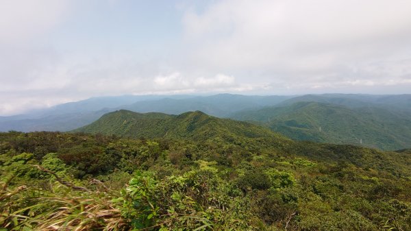 里龍山904875