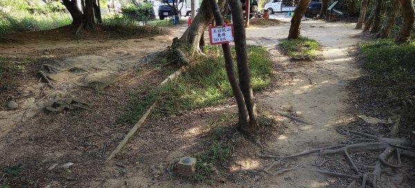 2025/11/30-桃園虎頭山步道O型2949552