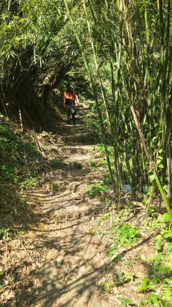 2025-0130溪和宮-大崎頭步道-鵝尾山-平溪步道-鵝尾山水田-42巷-溪山百年古圳-平菁步道2701916