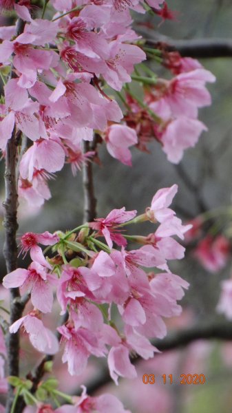 沒有意外，再度槓龜 !876578