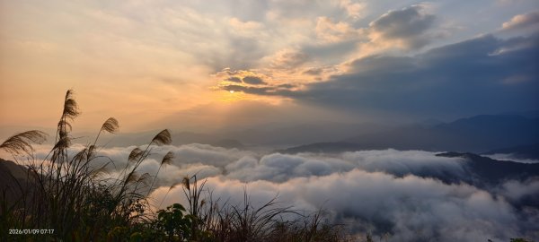 #翡翠水庫壩頂 #雲海 #日出 #陽明公園 #夕陽1/92979363