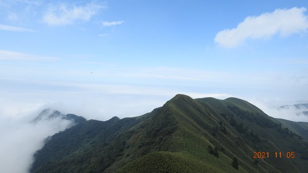 秋高氣爽芒花季 - 陽明山再見雲海1503984