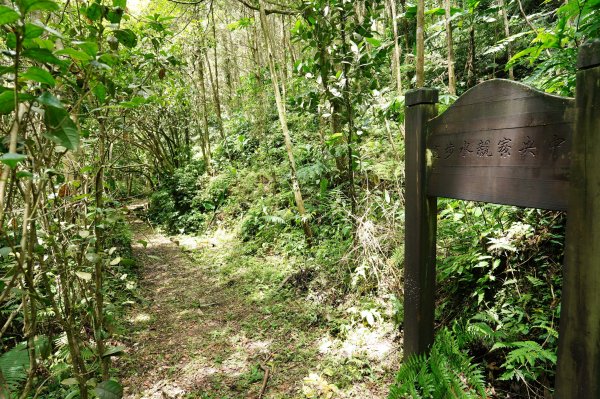 新竹 竹東 上坪山、五指山2541685