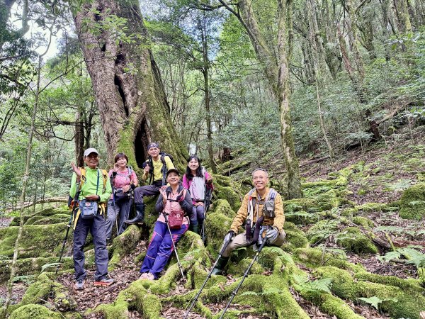 船型山神木悠遊    2025.09.22