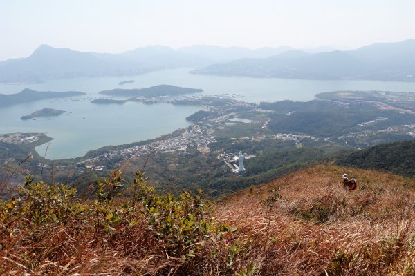 HK - 觀音脊、八仙嶺1465874