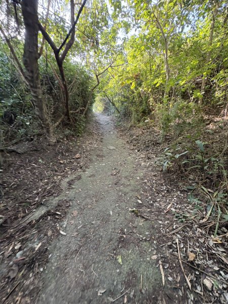 20251115壽山步道(元亨寺免費停車啟登)2938465
