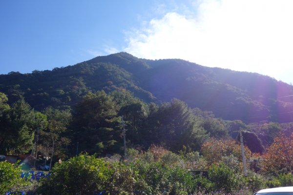 110.12.12馬崙山（海拔2305m）1551463