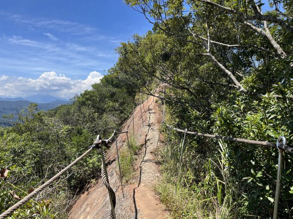 [微笑山線_第九段] 2025_0914 二格山系_天王峰2889621