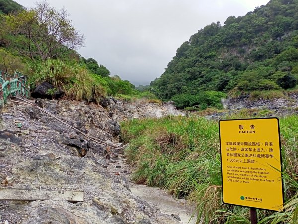 《遊龍戲鳳龍鳳谷》1138831