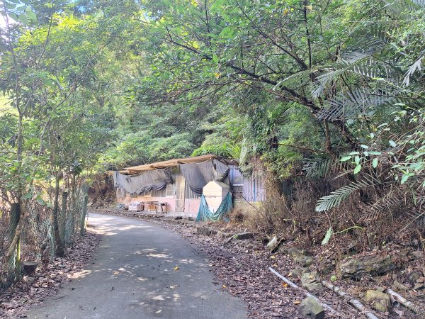 松羅步道202507193117670
