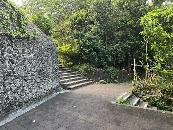 [微笑山線_第六段] 2025_0807 二格山系_和美山螢火蟲段2854621