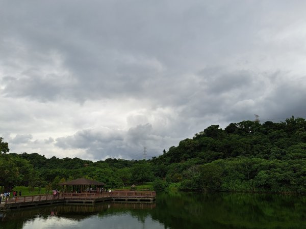 2026樟之細道：三坑老街-林埤古道3111984