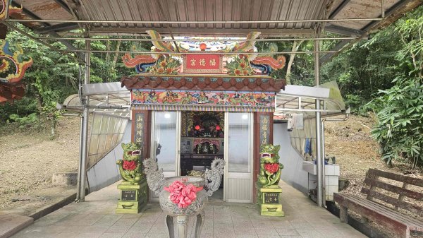 20250714灰窯山-司公碗帽山-南山坪山-平湖山-蝙蝠洞(乾溼洞)2836134