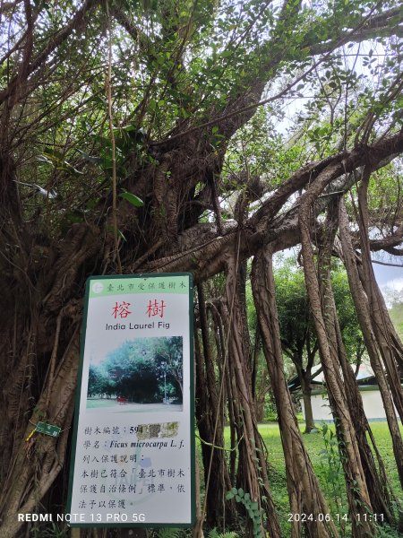 大安森林公園、高記上海料理、北師美術館【走路趣尋寶，全臺齊步走】2526028