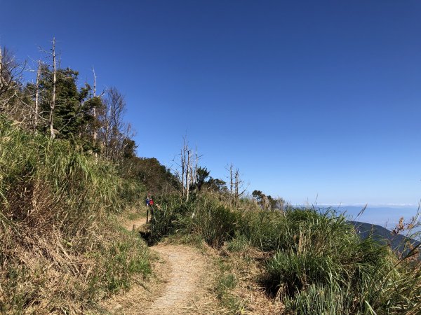 漫步探訪台灣山毛櫸國家步道965883