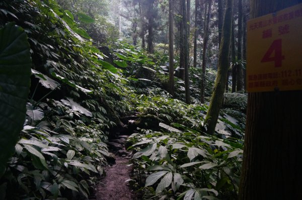 向天湖山、光天高山O型1946605