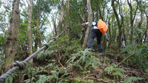安坑五山縱走2784684