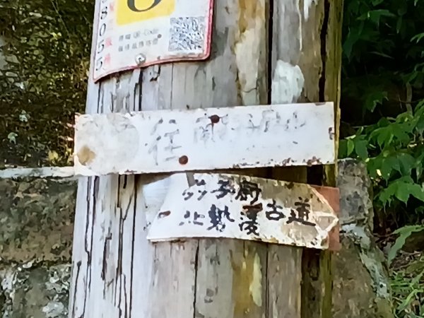坪林區南豹子廚山+豹子廚古道+北豹子廚山2900474