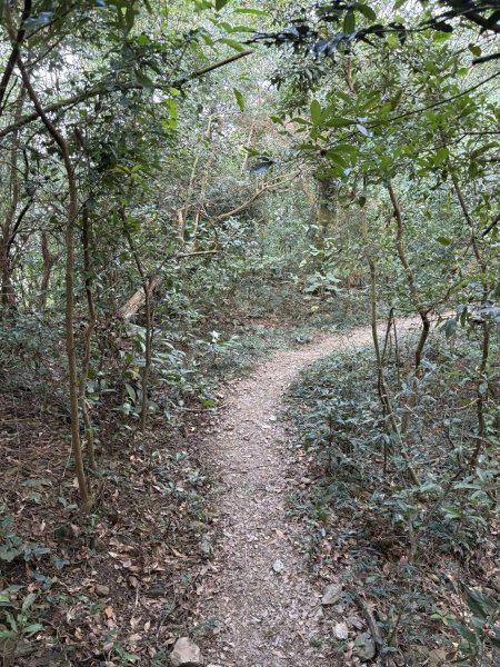 20251207笠頂山登山步道(第一登山口)2957674