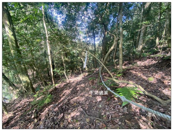 加里山前山隘勇線、騰龍山、橫龍山 連走3027650