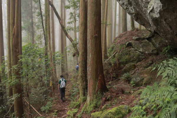 加里山：再見加里山68341