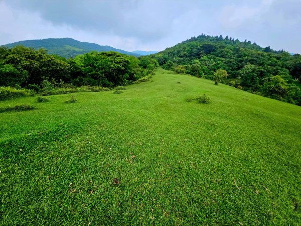 2026年臺北大縱走第三段：小油坑至風櫃口3037895