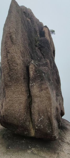 中國黃山 23087400