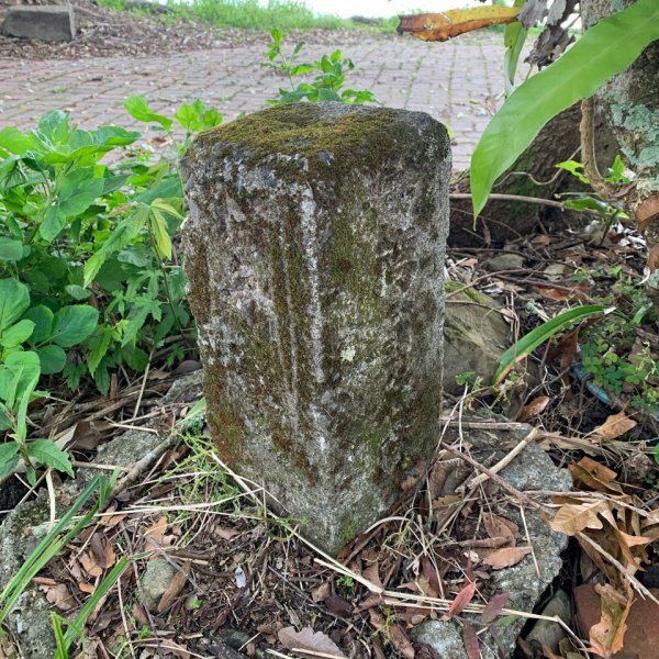 20250120高雄三縣界山-河表湖山-拉比嶺山-玉打山2697476