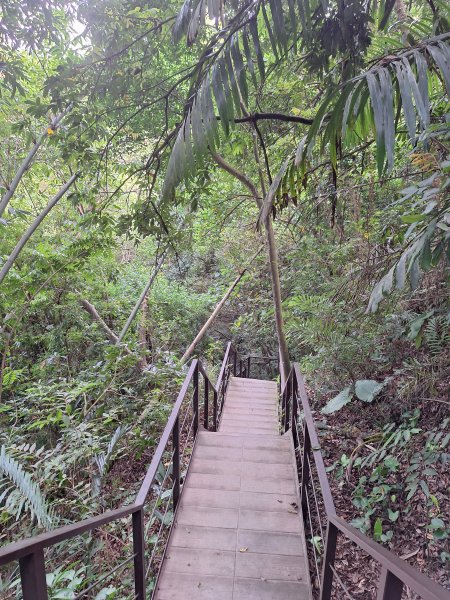 桃源里森林步道+龍鳳谷步道+坑子內山202509062880244