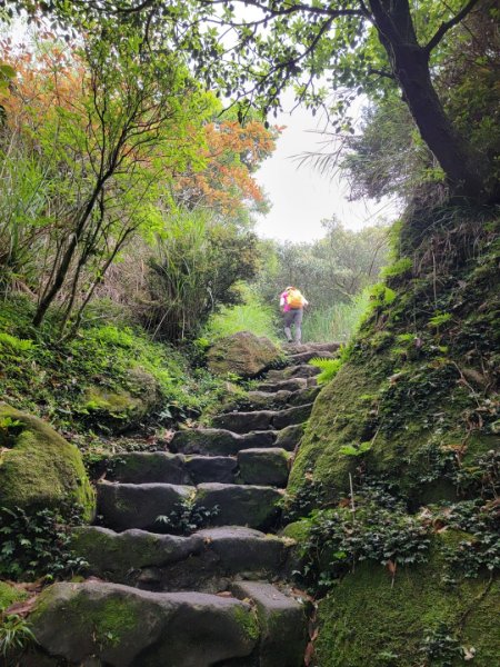 探索凱達格蘭遺址-202404142600570