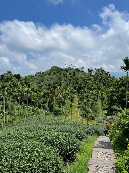 220820-挑筍古道(後棟仔山、小百岳#056雲嘉大尖山)1834557