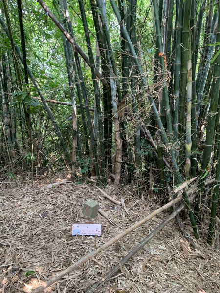 20250929台南馬草山2899815