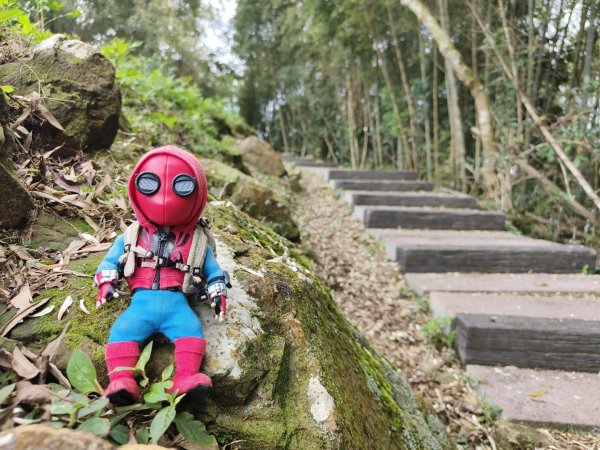 2023.12.30 雲嘉大尖山2840421