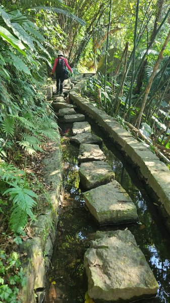 2025-0130溪和宮-大崎頭步道-鵝尾山-平溪步道-鵝尾山水田-42巷-溪山百年古圳-平菁步道2701967