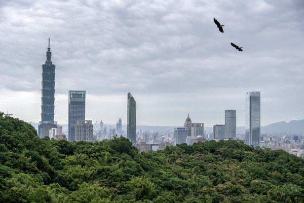 四獸山/九五峰3135564