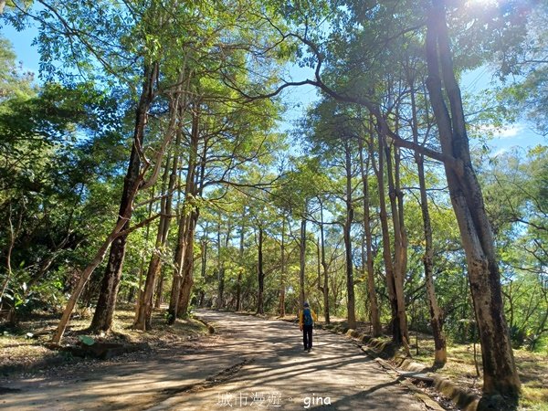 【台中太平】山頂好視野。 No43小百岳三汀山 (咬人狗坑登山步道)